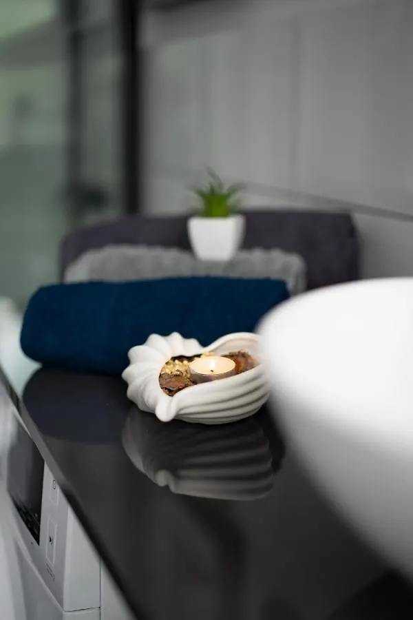 Апартаменты Stylish Studio In The Heart Of The City. Варшава